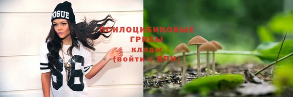 spice Белокуриха