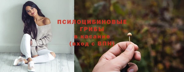 spice Белокуриха