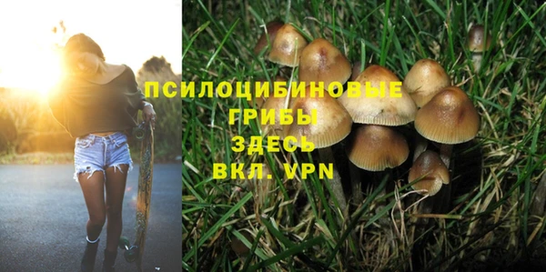 spice Белокуриха