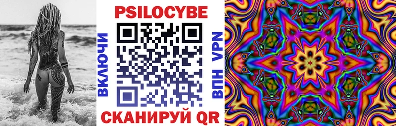 купить наркоту  Очёр  Псилоцибиновые грибы мицелий 